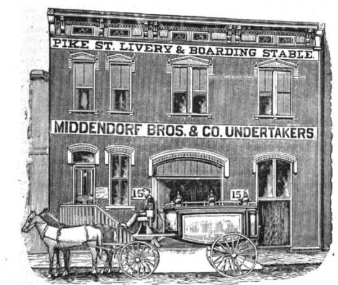 Middendorf's