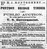 Bridge Timber