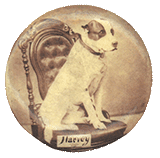 Harvey
