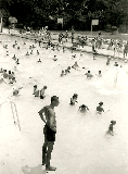 Rosedale Pool