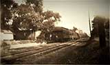 Latonia