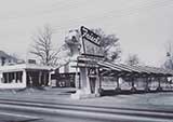 Frisch's