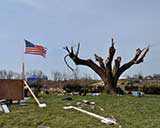 Tornado