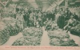 Mason County Tobacco 