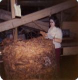 tobacco warehouse interior