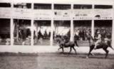 Germantown Fair
