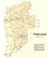 1876 Mason County Map