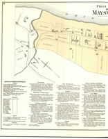 1876 Mason County Map