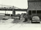 Maysville Stockyards
