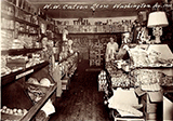 Catron's