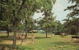 Pendleton Scene
