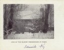 Falmouth Residence