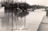 1964 Falmouth Flood