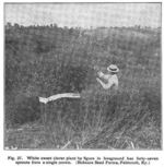 Pendleton Scene