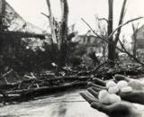 Falmouth Tornado