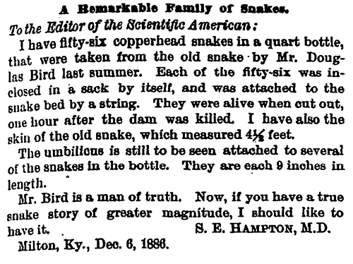 Snakes