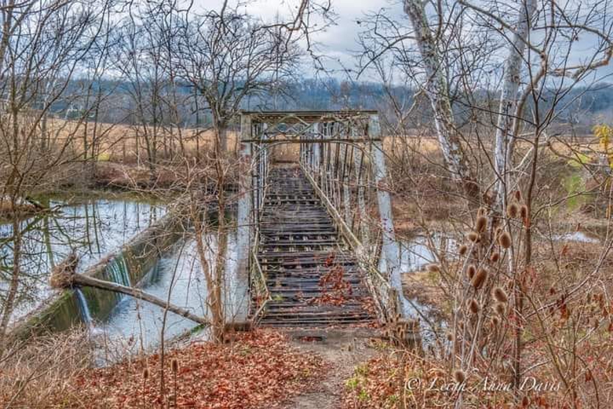 Bridge